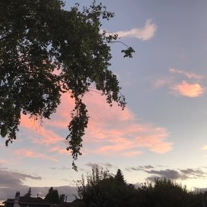 Meet your Posher, Ning